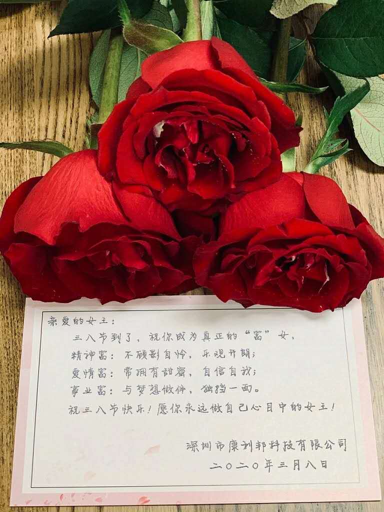 康利邦,女神节,硅胶胶水 康利邦,女神节,硅胶胶水