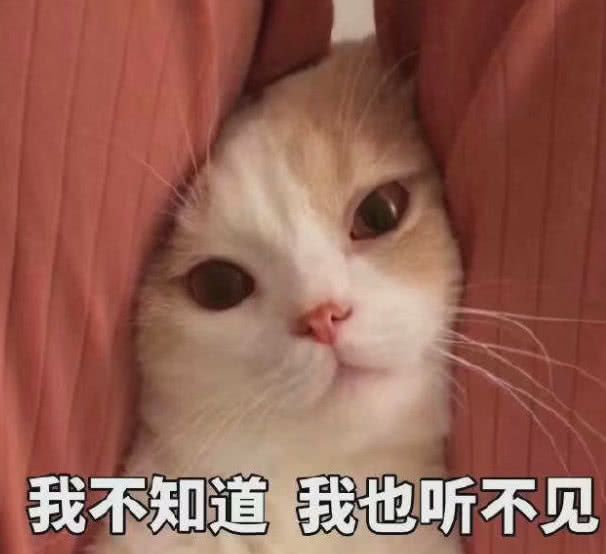 硅胶粘锌合金热硫化胶水.jpg 硅胶粘锌合金热硫化胶水.jpg